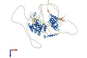 AlphaFold protein structure predicition of Mouse Recombinant Arhgap12 Protein, UniprotID Q8C0D4