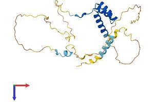 AlphaFold protein structure predicition of Mouse Recombinant Nkx6-3 Protein, UniprotID Q3UHX8