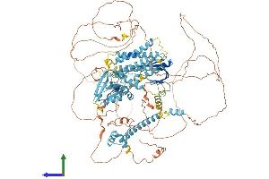 AlphaFold protein structure predicition of Mouse Recombinant Cnksr2 Protein, UniprotID Q80YA9