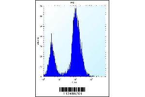 Flow cytometric analysis of 293 cells (right histogram) compared to a negative control cell (left histogram).