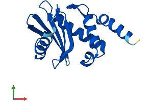 AlphaFold protein structure predicition of Mouse Recombinant Ap4s1 Protein, UniprotID Q9WVL1