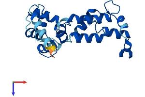 AlphaFold protein structure predicition of Mouse Recombinant Capsl Protein, UniprotID Q6P8Y1