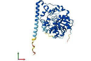 AlphaFold protein structure predicition of Mouse Recombinant Ephx4 Protein, UniprotID Q6IE26