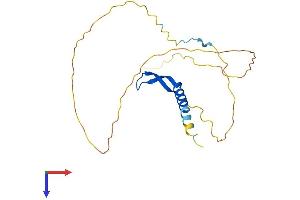 AlphaFold protein structure predicition of Mouse Recombinant Bcl7a Protein, UniprotID Q9CXE2