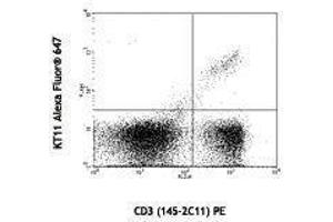 Flow Cytometry (FACS) image for anti-TCR V beta 11 antibody (Alexa Fluor 647) (ABIN2658017) (TCR V beta 11 anticorps (Alexa Fluor 647))