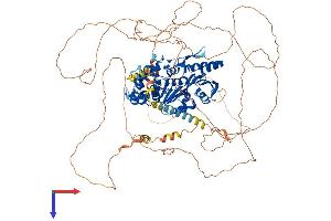 AlphaFold protein structure predicition of Human Recombinant DENND1A Protein, UniprotID Q8TEH3