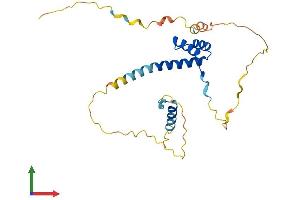 AlphaFold protein structure predicition of Mouse Recombinant Prrx2 Protein, UniprotID Q06348