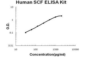 Human SCF PicoKine ELISA Kit standard curve (KIT Ligand Kit ELISA)