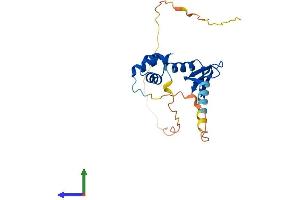 AlphaFold protein structure predicition of Human Recombinant NACA Protein, UniprotID Q13765