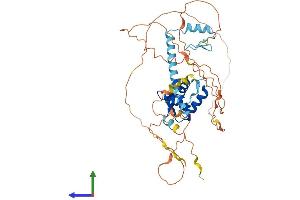 AlphaFold protein structure predicition of Human Recombinant FOXP3 Protein, UniprotID Q9BZS1