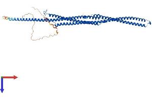 AlphaFold protein structure predicition of Mouse Recombinant Tekt3 Protein, UniprotID Q6X6Z7