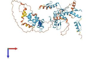 AlphaFold protein structure predicition of Human Recombinant ZKSCAN3 Protein, UniprotID Q9BRR0