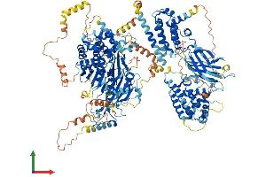 AlphaFold protein structure predicition of Mouse Recombinant Dennd5a Protein, UniprotID Q6PAL8