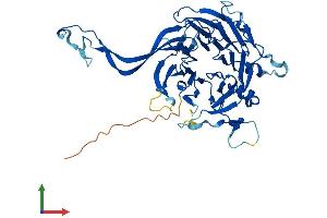 AlphaFold protein structure predicition of Mouse Recombinant Ppp2r2b Protein, UniprotID Q6ZWR4