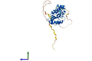 AlphaFold protein structure predicition of Human Recombinant ERCC1 Protein, UniprotID P07992