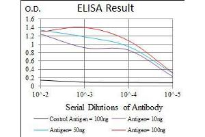 Black line: Control Antigen (100 ng), Purple line: Antigen(10 ng), Blue line: Antigen (50 ng), Red line: Antigen (100 ng),