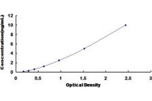 Typical standard curve (EPYC Kit ELISA)