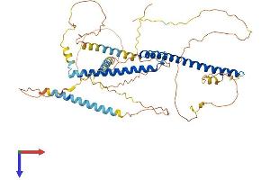 AlphaFold protein structure predicition of Human Recombinant MITF Protein, UniprotID O75030