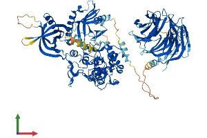 AlphaFold protein structure predicition of Human Recombinant NSMAF Protein, UniprotID Q92636