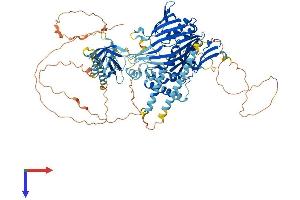 AlphaFold protein structure predicition of Mouse Recombinant Osbpl5 Protein, UniprotID Q9ER64