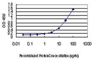 Detection limit for recombinant GST tagged L3MBTL2 is approximately 1ng/ml as a capture antibody.