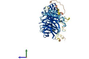 AlphaFold protein structure predicition of Human Recombinant FBXW5 Protein, UniprotID Q969U6