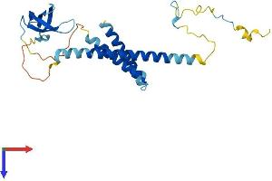 AlphaFold protein structure predicition of Mouse Recombinant Smndc1 Protein, UniprotID Q8BGT7