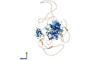 AlphaFold protein structure predicition of Mouse Recombinant Otud7b Protein, UniprotID B2RUR8