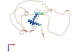 AlphaFold protein structure predicition of Human Recombinant SSBP2 Protein, UniprotID P81877
