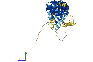 AlphaFold protein structure predicition of Human Recombinant ARMCX3 Protein, UniprotID Q9UH62