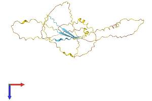 AlphaFold protein structure predicition of Mouse Recombinant Proca1 Protein, UniprotID B0QZF7