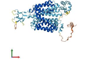 AlphaFold protein structure predicition of Human Recombinant SLC22A6 Protein, UniprotID Q4U2R8