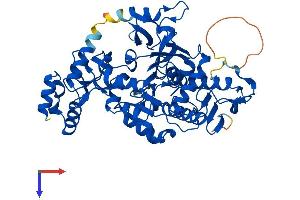 AlphaFold protein structure predicition of Human Recombinant UAP1 Protein, UniprotID Q16222