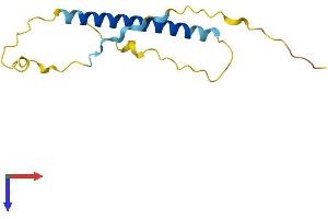TSSK6 Activating Co-Chaperone (TSACC) (AA 1-125) protein (His tag)