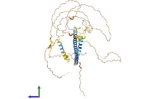 AlphaFold protein structure predicition of Human Recombinant CREB3L1 Protein, UniprotID Q96BA8