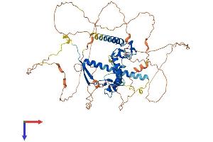 AlphaFold protein structure predicition of Mouse Recombinant Csrnp1 Protein, UniprotID P59054
