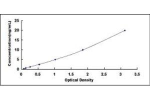 Typical standard curve (CPSF1 Kit ELISA)