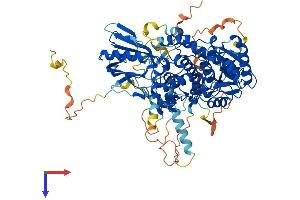 AlphaFold protein structure predicition of Human Recombinant MTMR10 Protein, UniprotID Q9NXD2