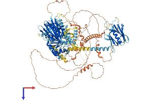 AlphaFold protein structure predicition of Mouse Recombinant Inpp5f Protein, UniprotID Q8CDA1