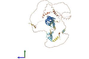 AlphaFold protein structure predicition of Human Recombinant NCOA5 Protein, UniprotID Q9HCD5