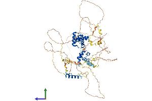 AlphaFold protein structure predicition of Human Recombinant MYBL2 Protein, UniprotID P10244