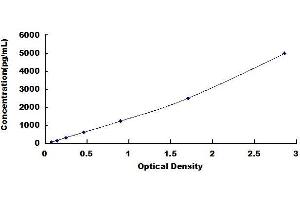 Typical standard curve