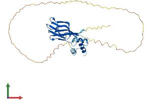 AlphaFold protein structure predicition of Human Recombinant NPM1 Protein, UniprotID P06748