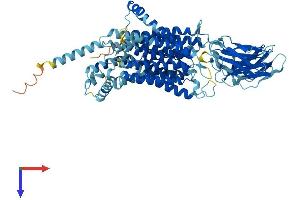 AlphaFold protein structure predicition of Human Recombinant SLC15A1 Protein, UniprotID P46059
