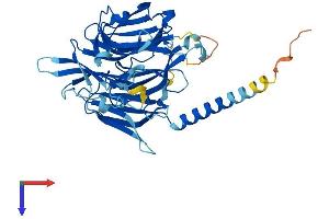 AlphaFold protein structure predicition of Human Recombinant KPTN Protein, UniprotID Q9Y664