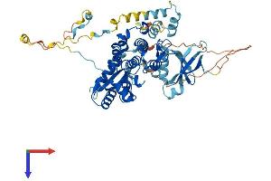 AlphaFold protein structure predicition of Mouse Recombinant Prkaa2 Protein, UniprotID Q8BRK8