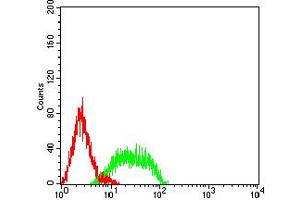 Flow cytometric analysis of HL-60 cells using CD106 mouse mAb (green) and negative control (red). (VCAM1 anticorps  (AA 25-183))