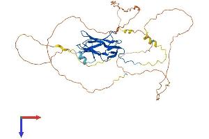 AlphaFold protein structure predicition of Human Recombinant RUNX3 Protein, UniprotID Q13761
