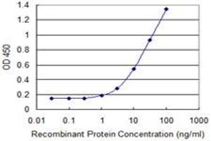 Detection limit for recombinant GST tagged ARFIP1 is 0. (ARFIP1 anticorps  (AA 1-101))