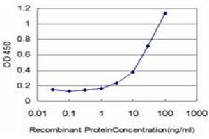 Detection limit for recombinant GST tagged EIF4G3 is approximately 1ng/ml as a capture antibody. (EIF4G3 anticorps  (AA 1-515))